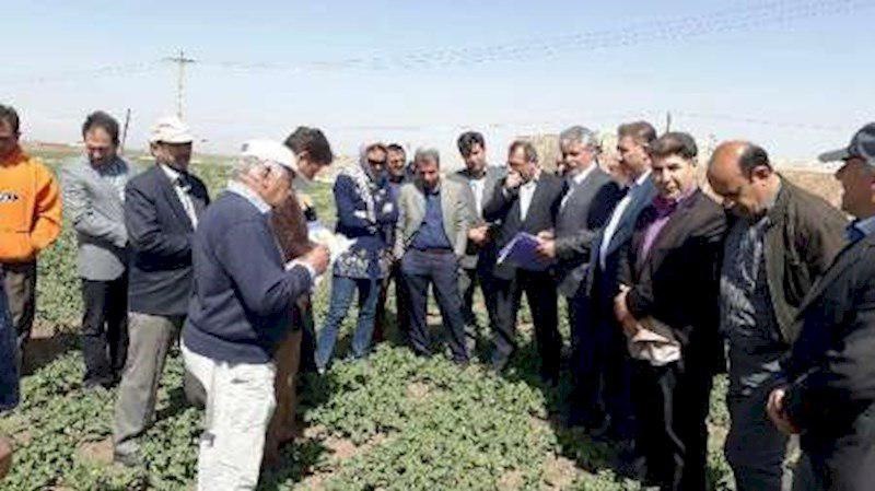 کارشناس فرانسوی: خاک ارومیه حاصلخیزتر از اروپا است کارشناس فرانسوی: خاک ارومیه حاصلخیزتر از اروپا است