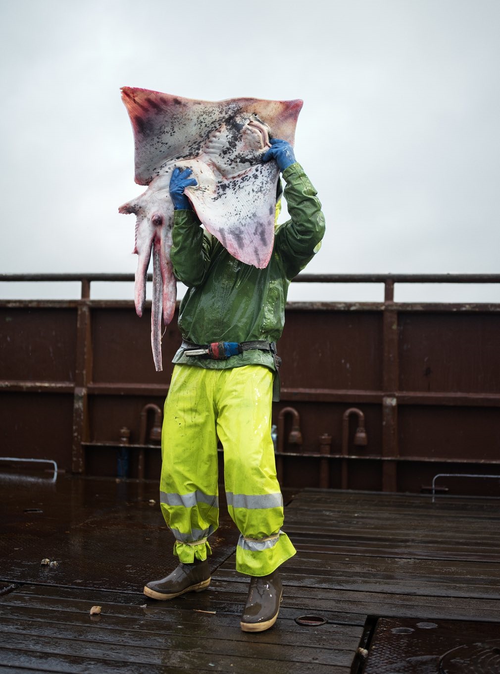 تصاویر | زندگی در آلاسکا از نگاه یک ماهیگیر