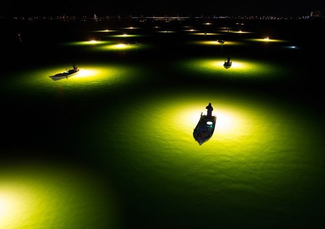 عکس | ماهیگیری با نور در عکس روز نشنال جئوگرافیک