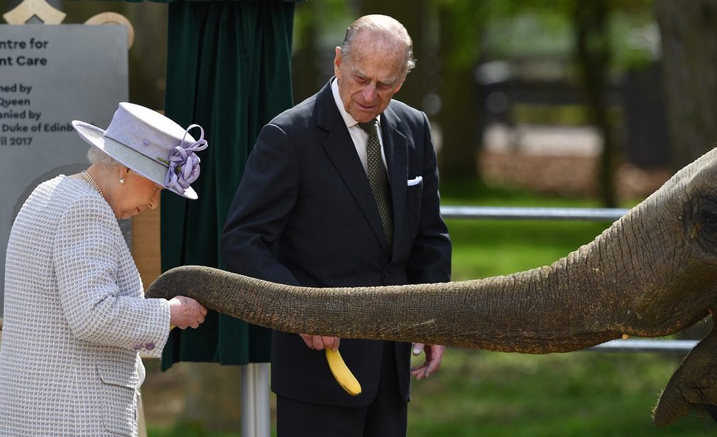 عکس | غذا دادن ملکه بریتانیا به یک فیل در باغ وحش
