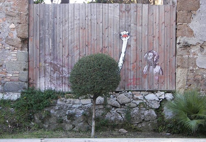 تصاویر | هنرهای خیابانی و هارمونی با طبیعت