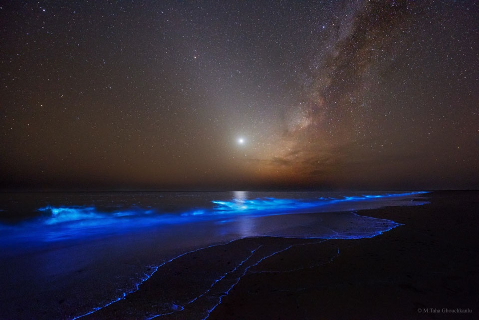 درخشش در تاریکی شب/ عکس روز ناسا از منظره‌ای حیرت‌انگیز 