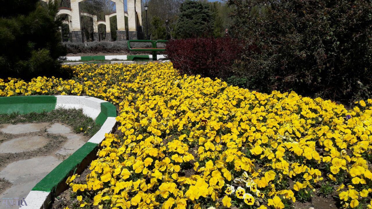 گزارش تصویری از بهار دل‌انگیز در همدان