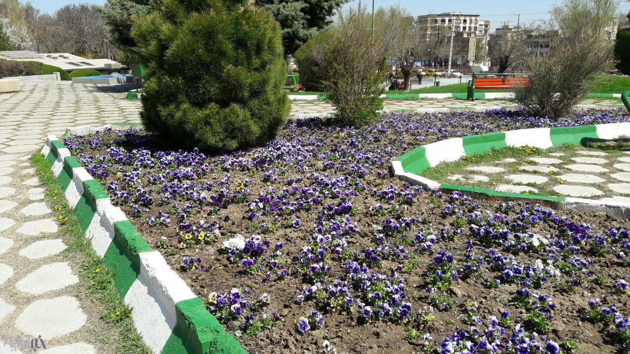 گزارش تصویری از بهار دل‌انگیز در همدان