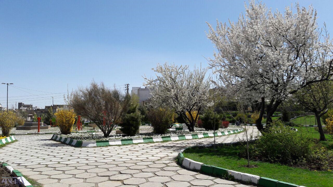 گزارش تصویری از بهار دل‌انگیز در همدان