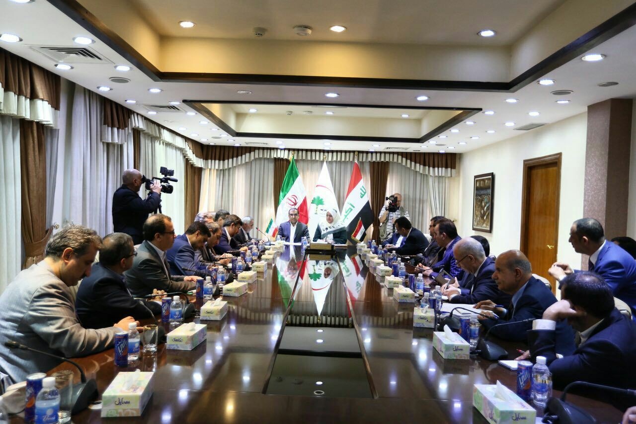 وزیر بهداشت در سفر به عراق مطرح کرد؛ ثبت و صادرات ۱۰۲ قلم داروی ایرانی در عراق