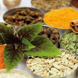 همایش ملی گیاهان دارویی در زنجان برگزار می‌شود  
