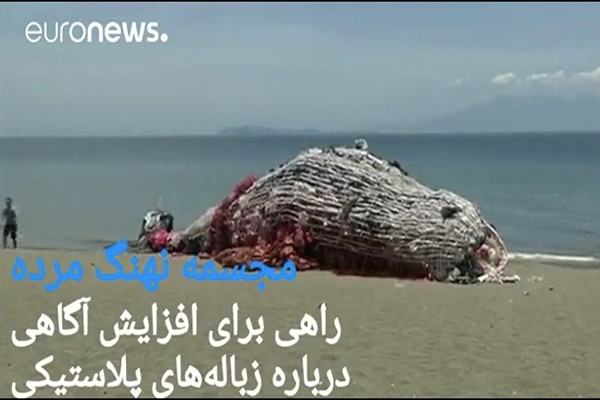 فیلم | ساخت مجسمه غول پیکر نهنگ مرده در فیلیپین 