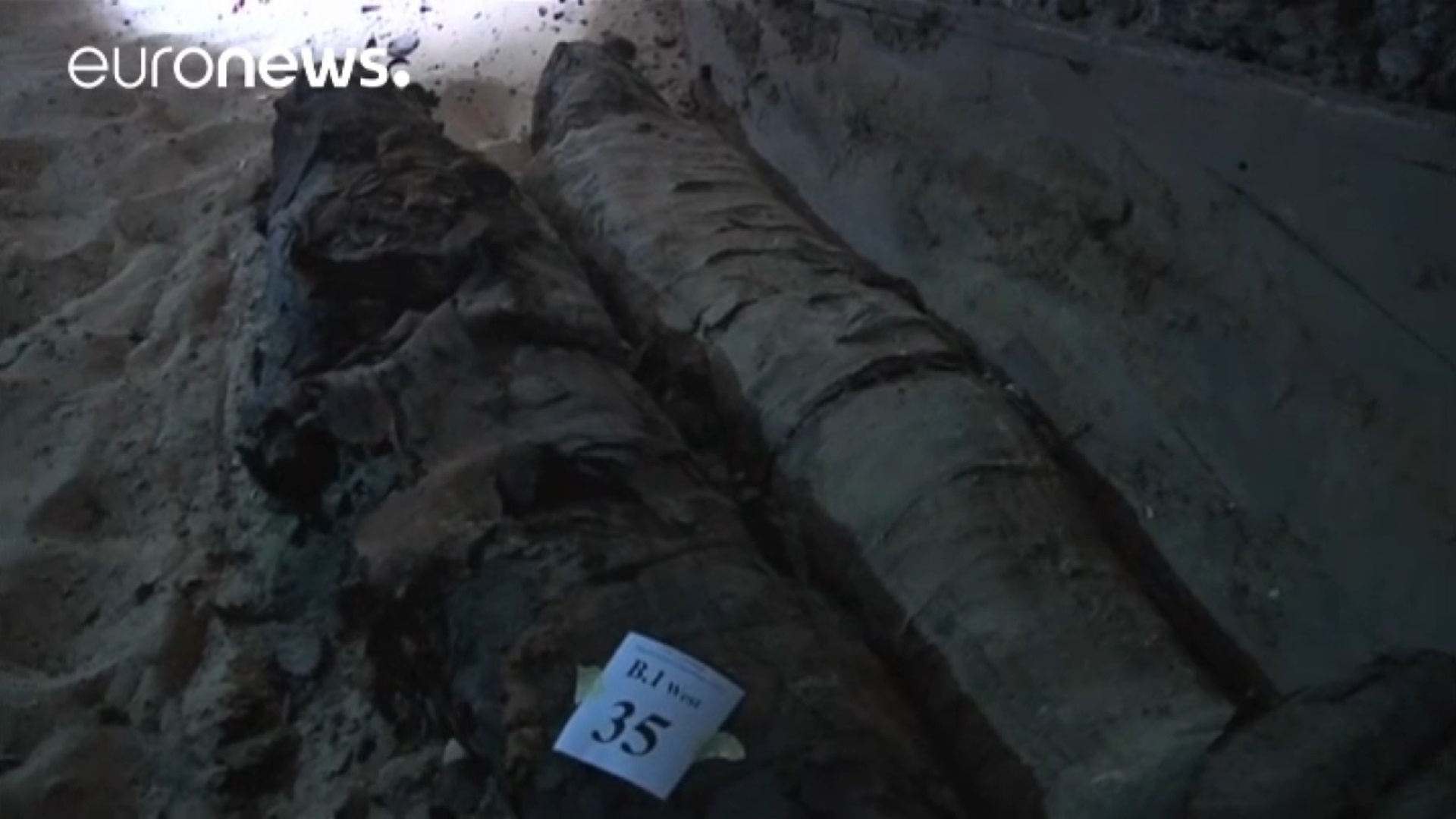 فیلم | کشف اجساد مومیایی در گوردخمه‌های مصر