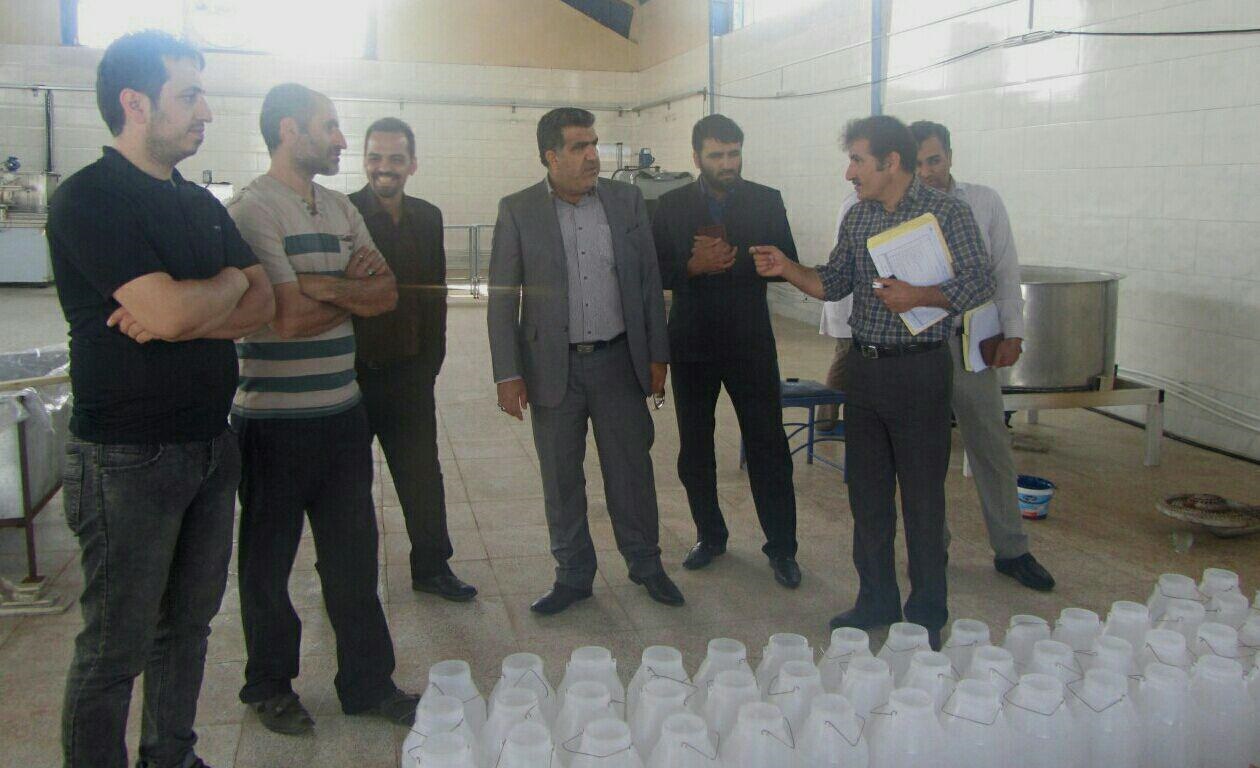 بازدید میدانی مدیر عامل شرکت شهرکهای صنعتی لرستان از مناطق استان 