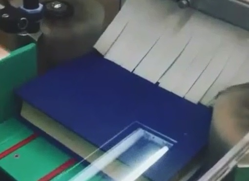 فیلم | حمام کتاب‌ها در کتابخانه آمریکایی