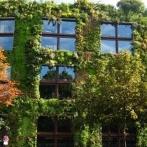 احداث ساختمانهای سبز و ذخیره بهینه انرژی 