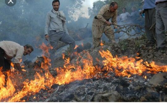 کمبود تجهیزات اطفای حریق در گستره منابع طبیعی پلدختر