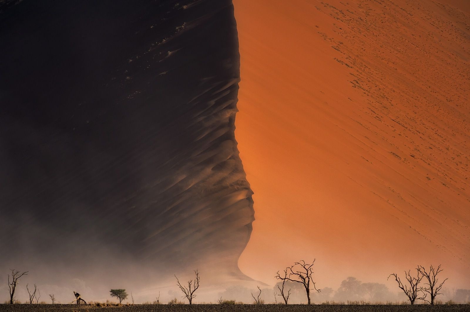 عکس | سایه‌روشن صحرای نامیب در عکس روز نشنال جئوگرافیک