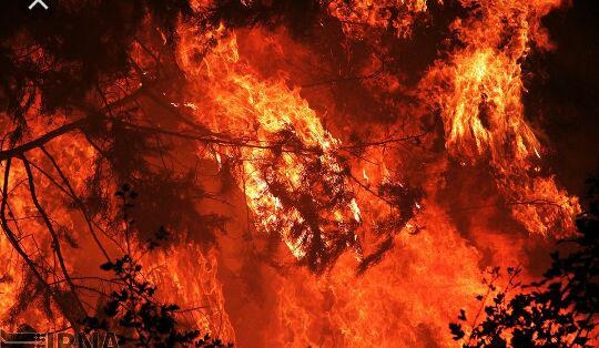 آتش سوزی جنگل ها و مراتع کوه" تاریک در"  معمولان پلدختر