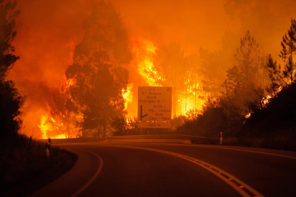 تصاویری از آتش‌سوزی مرگبار در جنگل‌های پرتغال | شمار کشته‌ها به ۵۷ نفر رسید