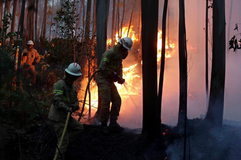 تصاویری از آتش‌سوزی مرگبار در جنگل‌های پرتغال | شمار کشته‌ها به ۵۷ نفر رسید