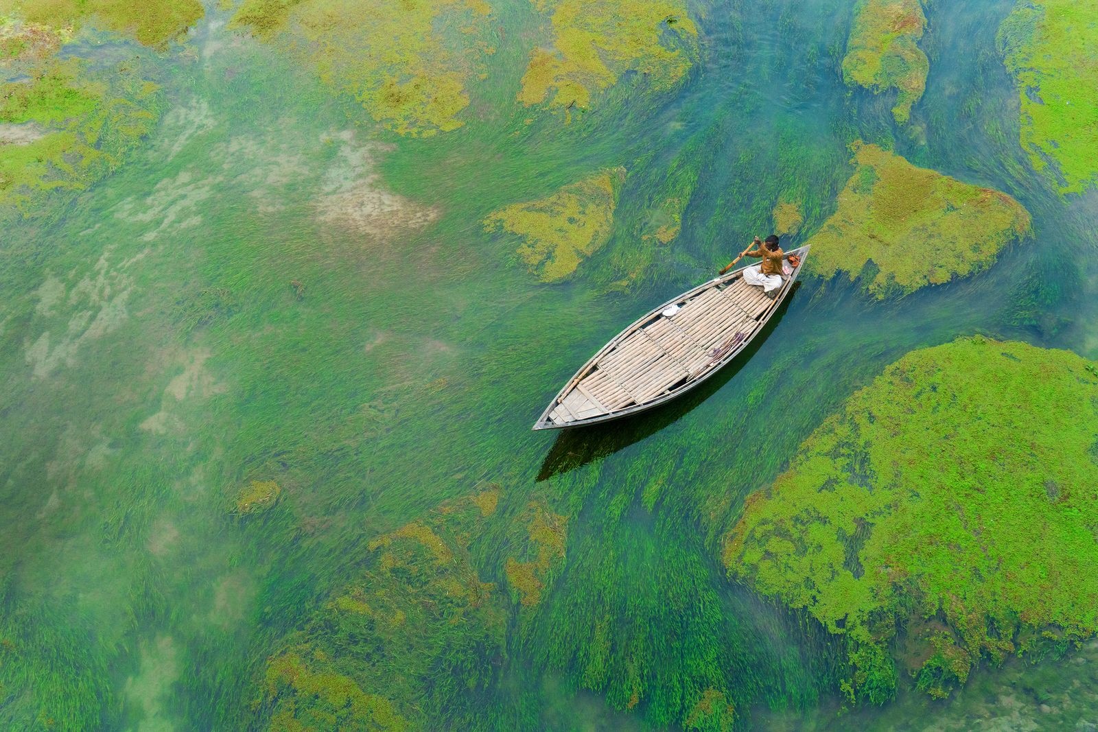 عکس | پارو زدن بر رودخانه سبز در عکس روز نشنال جئوگرافیک
