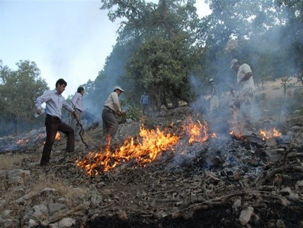 آتش‌سوزی در جنگل‌های «سروک» و «مهریان» بویراحمد