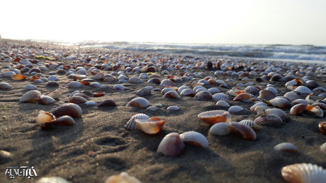 عکس | ساحل رویایی دریای خزر در محمودآباد 