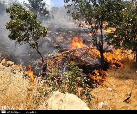 آتش‌سوزی در نخلستان‌های محله آبسرد بزمان/ مشکل در مهار آتش به دلیل وزش باد شدید