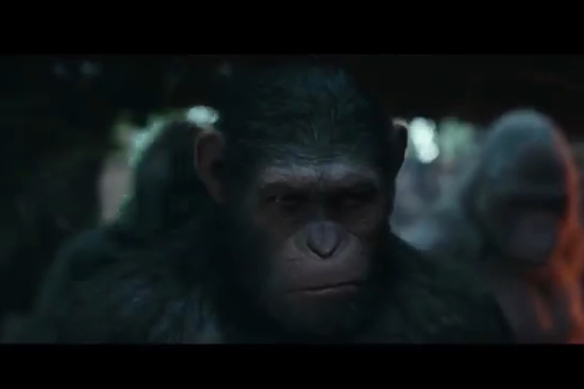 فیلم | تریلر جدید فیلم سینمایی «نبرد سیاره میمون‌ها»