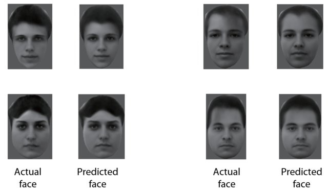 مغز انسان چطور چهره‌های متفاوت را تشخیص می‌دهد؟