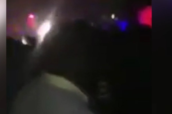 فیلم | تیراندازی در یک باشگاه شبانه در آرکانزاس