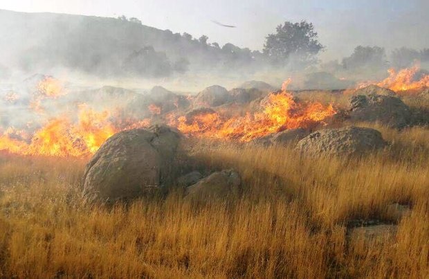 خوزستان رکوردار آتش‌سوزی جنگل‌ها/ آتش‌های تعمدی مهار شود