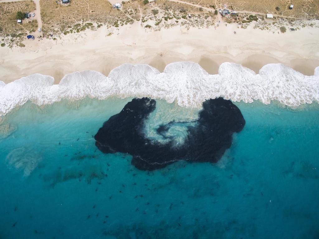 تصاویر | شنای مشترک انسان‌ و کوسه در سواحل غرب استرالیا