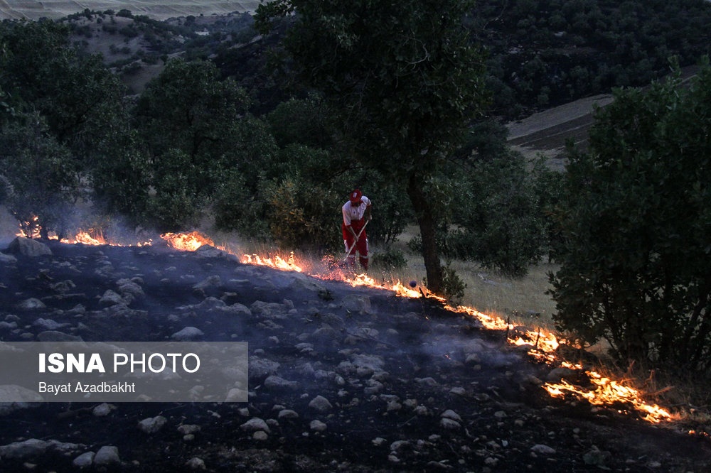 تصاویر | آتش به جان درختان بلوط زاگرس افتاد