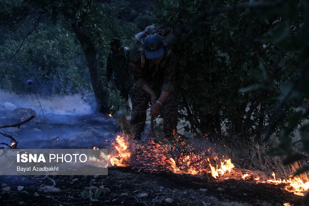 تصاویر | آتش به جان درختان بلوط زاگرس افتاد