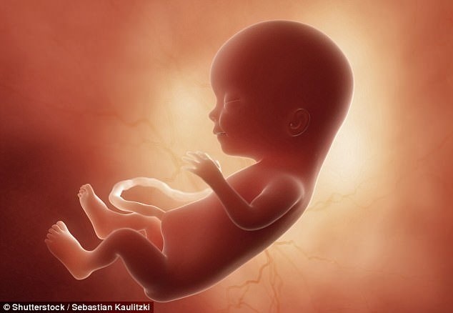 جنین یک ماه قبل از تولد زبان خارجی را تشخیص می‌دهد