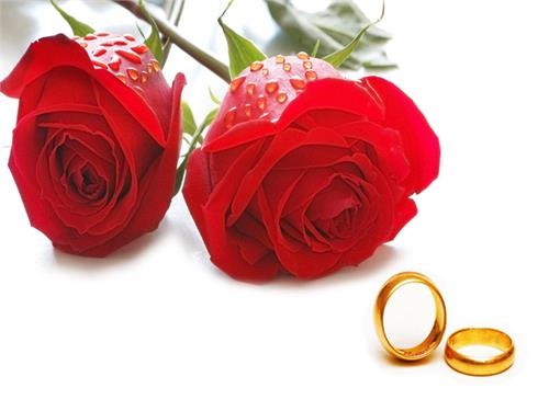 ۳۴ نوعروس نورآبادی راهی خانه بخت شدند