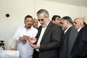 استان البرز رکورد ملی تولید کیفی گندم در کشور را حفظ کند استان البرز رکورد ملی تولید کیفی گندم در کشور را حفظ کند