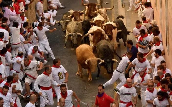 تصاویر | دعوای خیابانی گاوها و انسان‌ها | کار ۳ نفر به بیمارستان کشید 