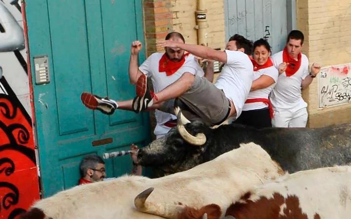 تصاویر | دعوای خیابانی گاوها و انسان‌ها | کار ۳ نفر به بیمارستان کشید 