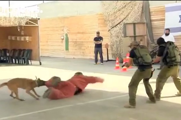 فیلم | شلیک نمادین گردشگران اسرائیل به هدف‌های فلسطینی!