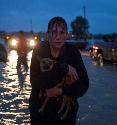 تصاویر | وضعیت غم‌انگیز مردم هوستون در حال فرار از طوفان ویرانگر