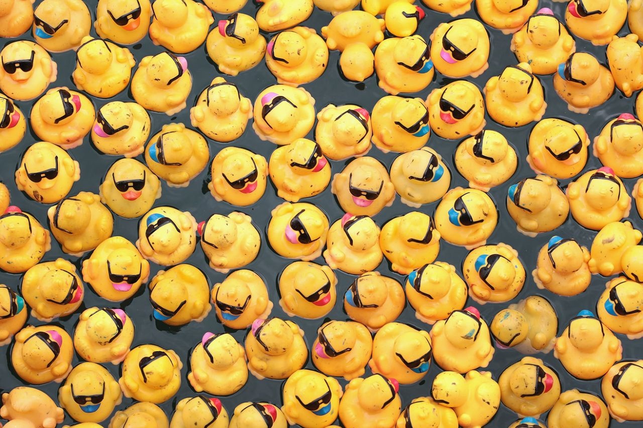 تصاویر | مسابقه دیدنی  ۶۰ هزار اردک پلاستیکی در رودخانه شیکاگو 