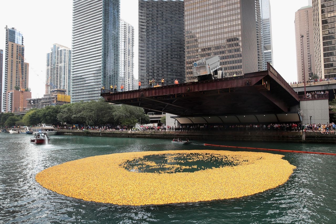 تصاویر | مسابقه دیدنی  ۶۰ هزار اردک پلاستیکی در رودخانه شیکاگو 