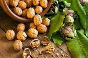  پیش‌بینی برداشت بیش از چهار هزار و ۱۰۰ تن گردو در سلسله