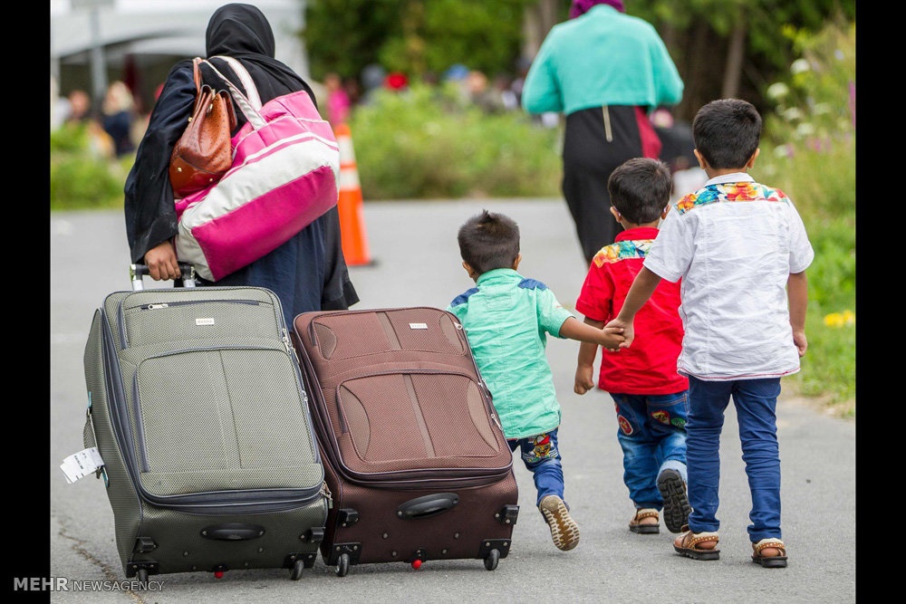 تصاویر | فرار مهاجران از آمریکا‎ با پای پیاده