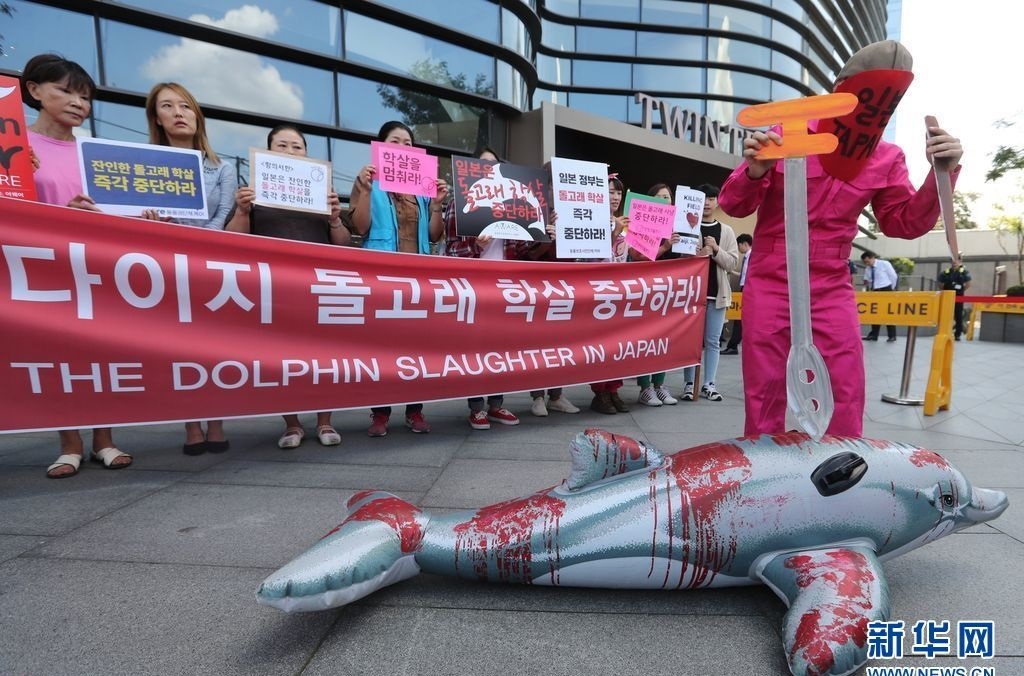 تصاویر | تظاهرات فعالان حقوق حیوانات ژاپن در فصل شکار دلفین