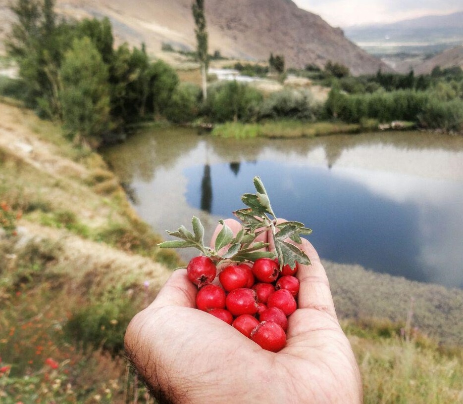جاذبه زیبای گردشگری آذربایجان‌غربی؛ برکه و آبشار سوله دوکل 