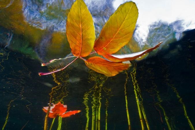 تصاویر | زیبایی‌های فصل پاییز از نگاه نشنال جئوگرافیک