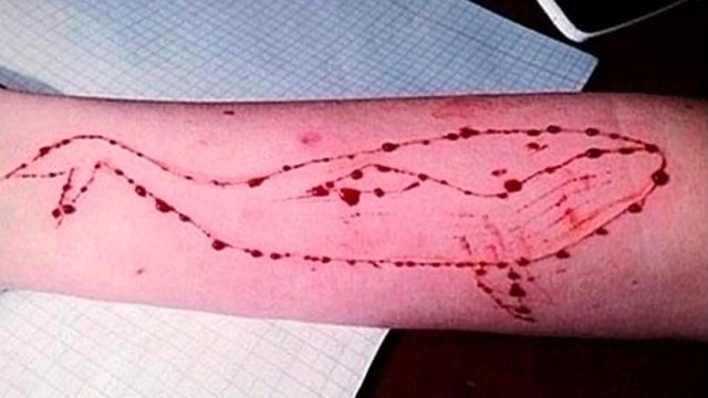 بازی مرگ‌بار «نهنگ آبی» و آن شیری که آدم می‌خورد!/ از حک نهنگ با چاقو روی دست تا خودکشی 