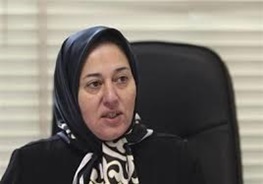کارآفرین ملی در سمینار ماهانه کانون کارآفرینان استان زنجان سخنرانی می‌کند