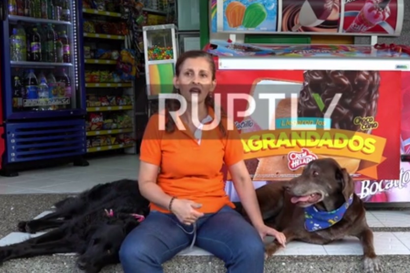فیلم | پیک عجیب یک سوپرمارکت؛ سگی که آدرس مشتریان را بلد است!