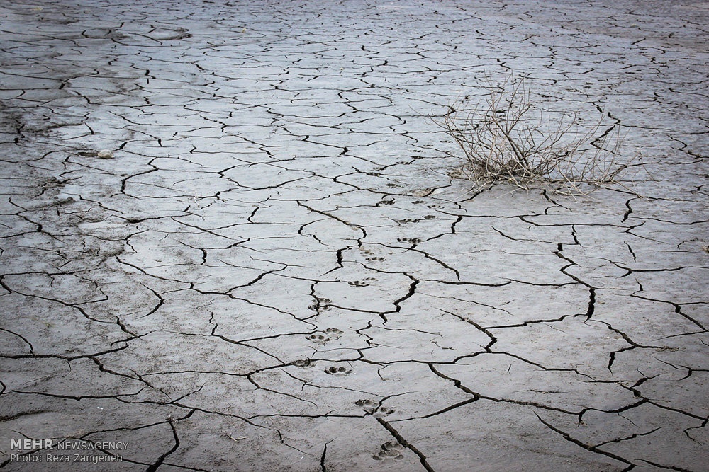 بعد از بارندگی اخیر: افزایش ۱.۵ درصدی بارش در حوضه آبریز دریاچه ارومیه